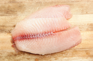 Tilapia