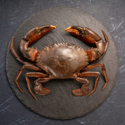 Soft Shell Crab
